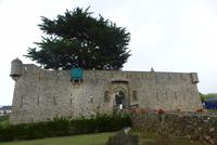 Noirmoutier-en-l'île  (3)