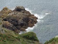 Guernsey