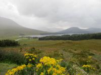Glen Coe