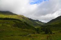 033 Argyl Forest