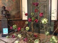 Blumenschau in Brüssel