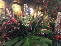 Blumen, Obst und Gemüse im Rathaus