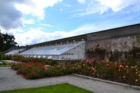Powerscourt Gardens