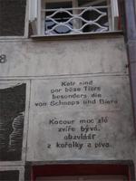 Kratzputzdetail Vachal-Haus in Litomysl II