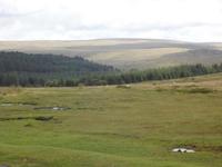 Landschaft im Dartmoor
