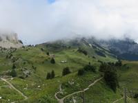 Auf der Schynigen Platte  - Alpengarten