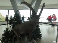 Ausflug auf den Pilatus