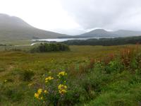 Rannoch Moor