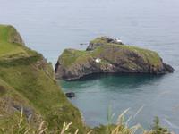 Carrick o Rede Rope Bridge