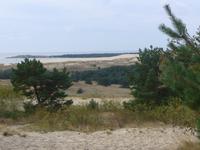 Kuhrische Nehrung Sanddünen 