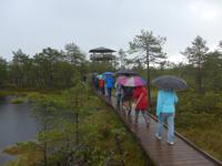 Nationalpark Lahemaa