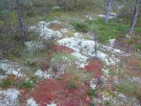 Nationalpark Lahemaa