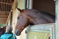 Reitschule Cadre Noir