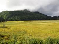 Bahnfahrt nach Fairbanks