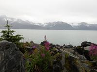 Seward