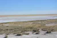 Wir fahren entlang der Etoshapfanne