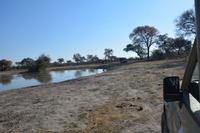 Wir nähern uns einem Wasserloch