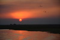 Sonnenuntergang auf dem Chobefluss