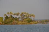 Bootsfahrt auf dem Sambesifluss