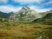 Fahrt mit dem Bernina - Express 