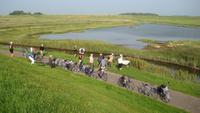Fotostopp auf Texel