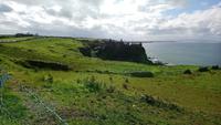 Dunluce Castle