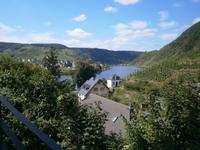 Beilstein, Blick von der Klosterkirche auf die Mosel