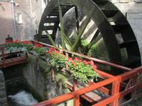 IMG_9200