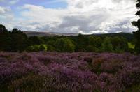 139 Newtonmore, Highland Folk Museum