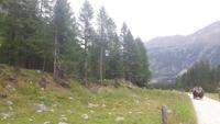 Kutschfahrt ins Val Roseg