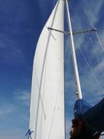 IMG-20170902-WA0019