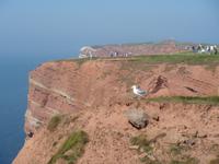 Helgoland Klippenrundweg