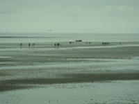 Nordsee Watt