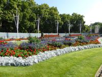 Buckingham Palast - Blumenarragement
