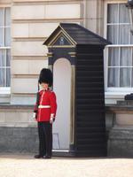 Buckingham Palast - Wache