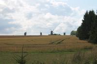 IMG_6219