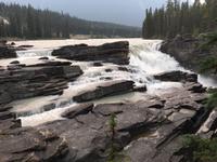 Die Athabasca Faelle