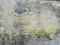 Phlegräische Felder