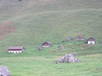 Wanderung mit Albert auf der Schwägalp