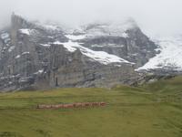 Interlaken - Ausflug zum Jungfraujoch -