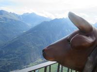 Fahrt auf den Harder Kulm