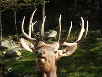 Omega Wildlife Park
