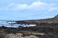 Am Giant's Causeway