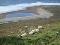 Wild Atlantic Way im County Donegal