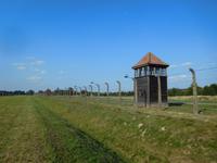 Auschwitz (18)