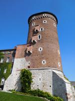 Krakau_Wawel (8)
