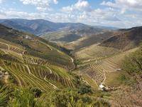 Portugal, Ausflug Portweinstrasse