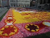 Leuven, Blumenteppich auf dem großen Markt