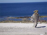 Raukstein auf Gotland