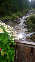 Gebirgsfluss Damüls